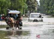 Usai lintasi banjir, pancing rem mobil agar bisa prima kembali