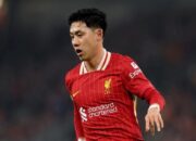 Jadwal dan Link Streaming Liga Champions 2024/2025, PSV vs Liverpool